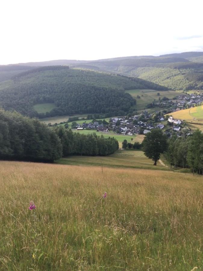 Pension Zum Rothaarsteig Netphen Exterior foto