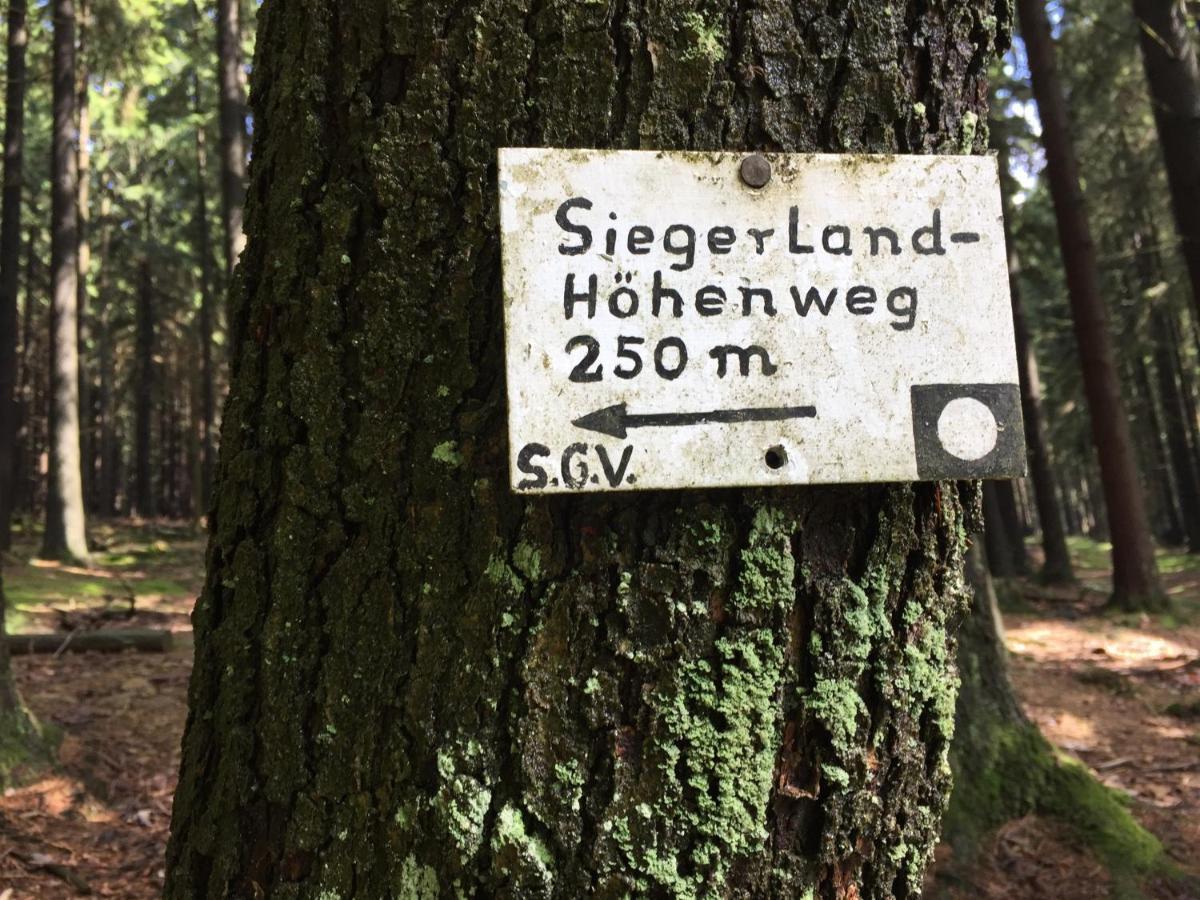 Pension Zum Rothaarsteig Netphen Exterior foto