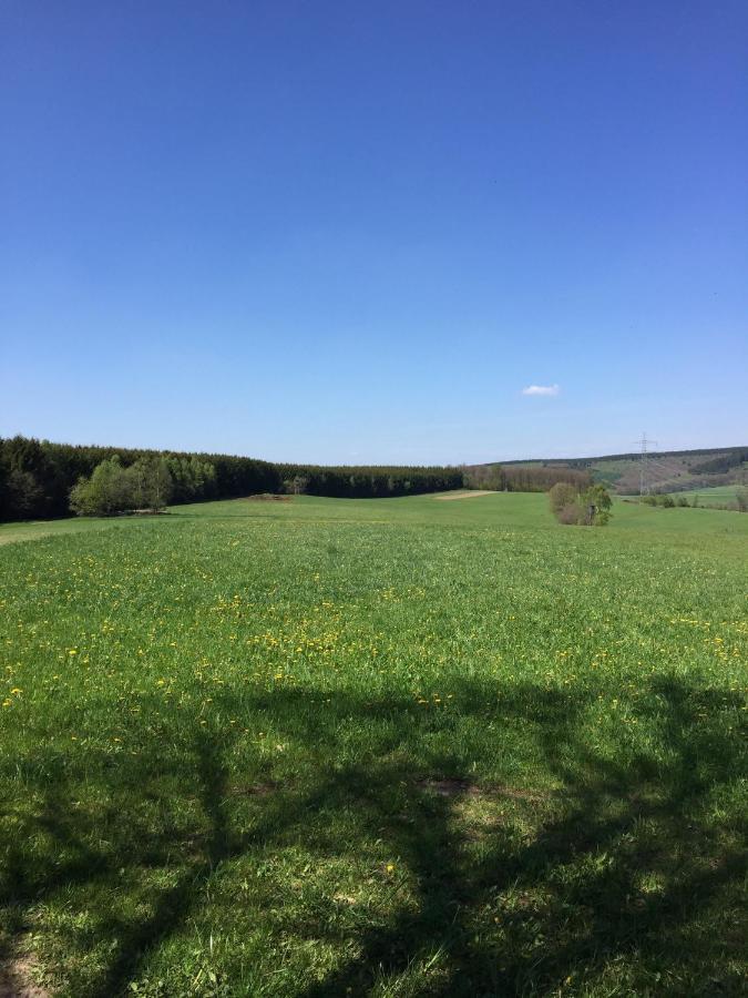Pension Zum Rothaarsteig Netphen Exterior foto