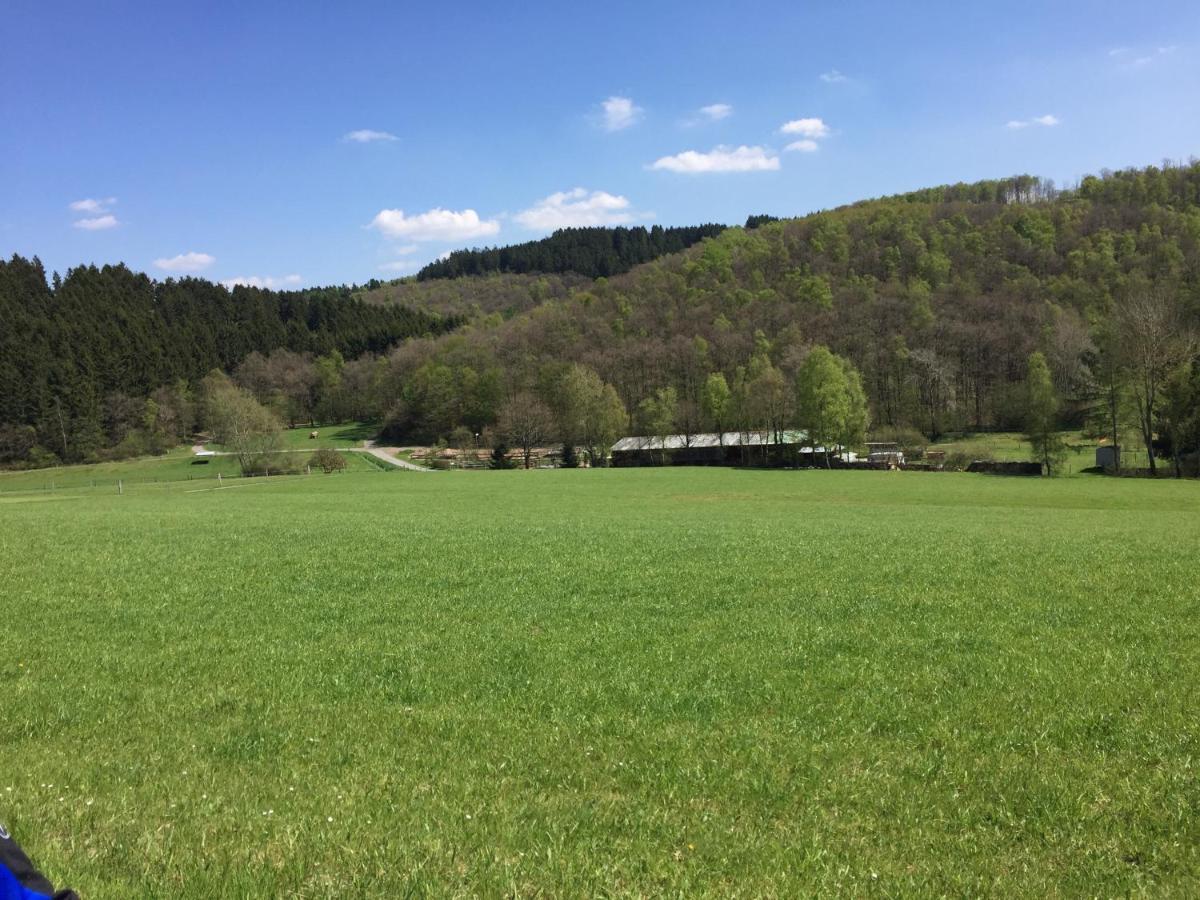 Pension Zum Rothaarsteig Netphen Exterior foto